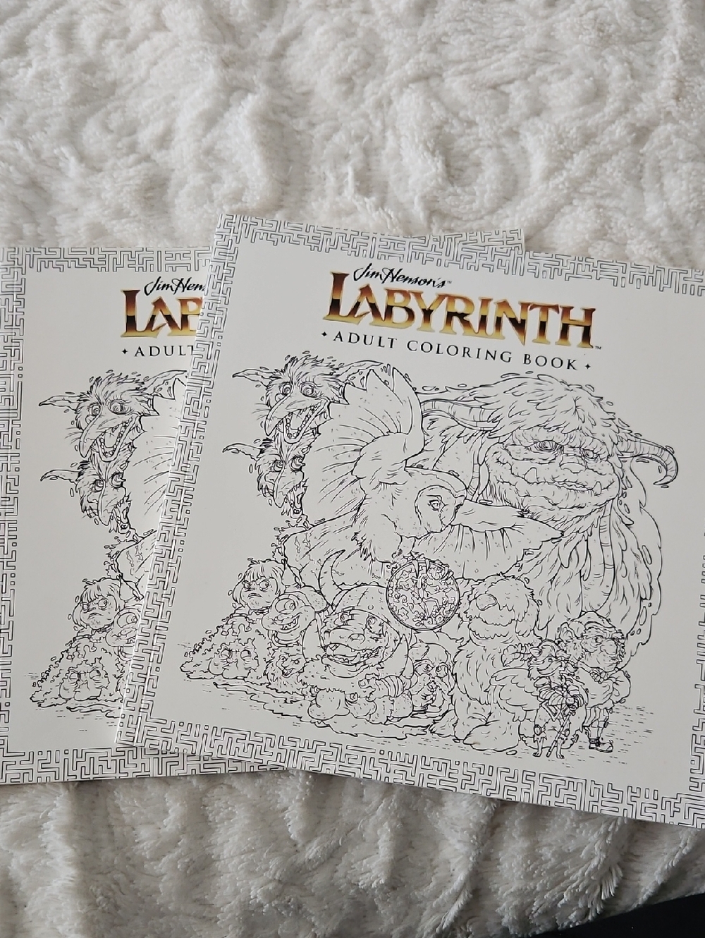Labyrinth Adult Coloring Book by Jim Henson 2017 - NEW